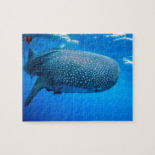 Puzzle Requin baleine