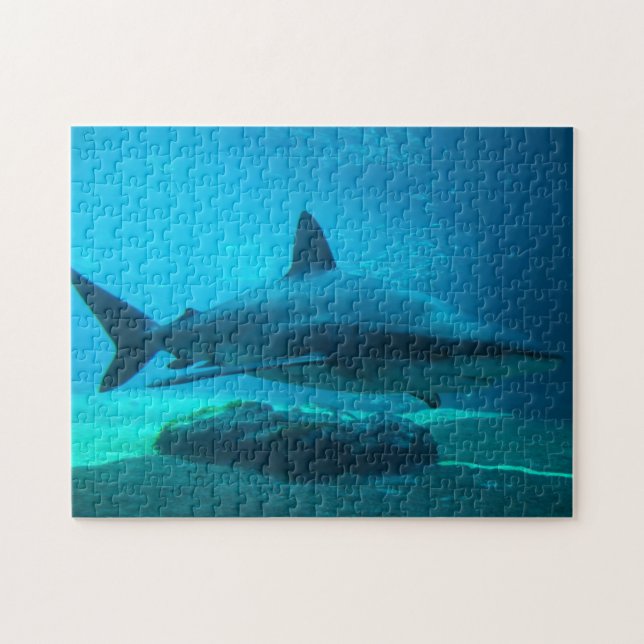 Puzzle Requin de nuit (Carcharhinus Obscurus), Ushaka (Horizontal)