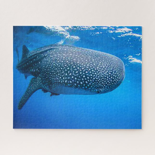 Puzzle Requins baleines (Horizontal)