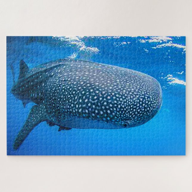 Puzzle Requins baleines (Horizontal)