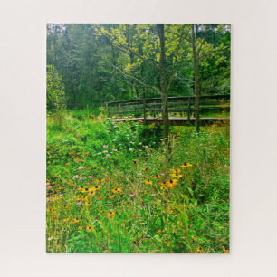 PUZZLE RÉSERVE NATURELLE D'ITHACA NEW YORK