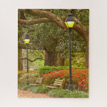 Ressort dans la savane, GA, parc de Forsyth,