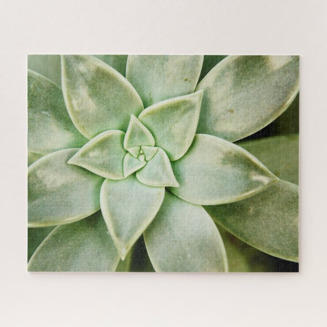 Puzzle Ressort Succulent (Horizontal)