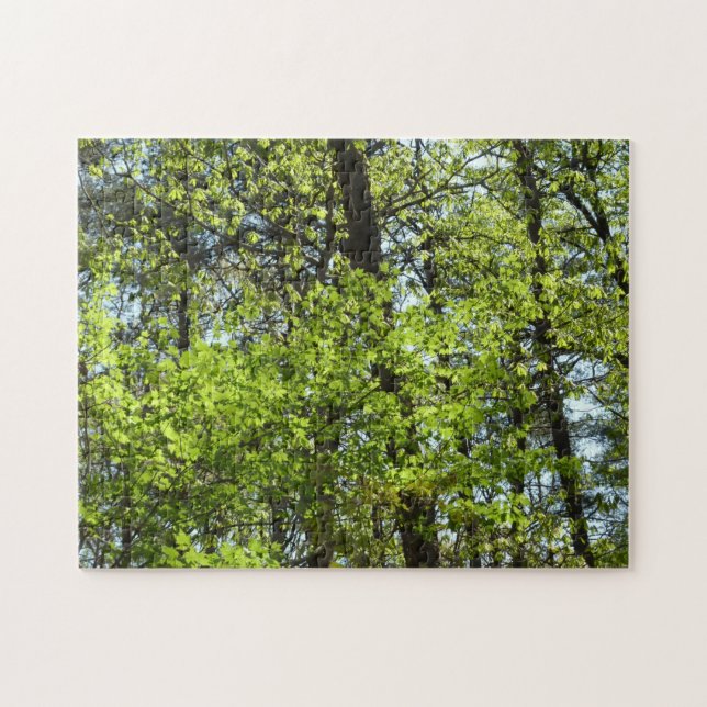 Puzzle Ressource Feuille (Horizontal)