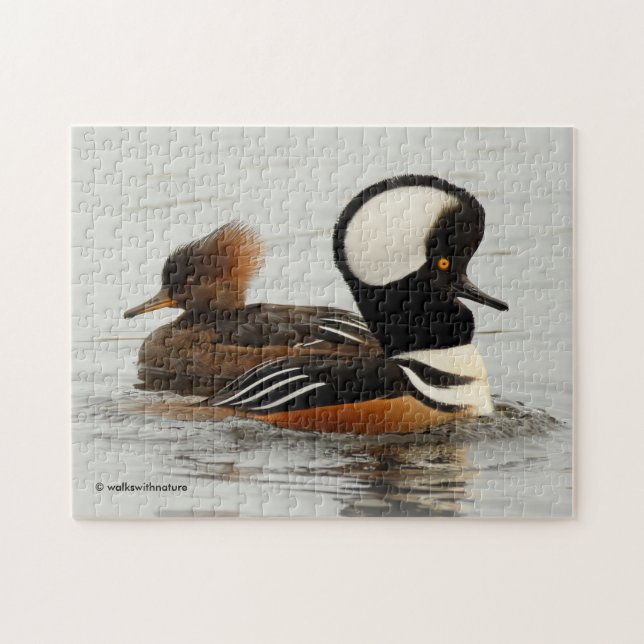 Puzzle Réunion de canards-fusiliers à capuchon (Horizontal)