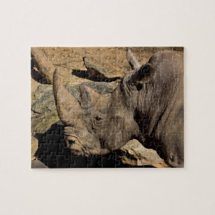Puzzle Rhinocéros
