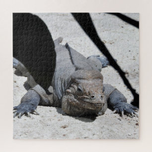 Puzzle Rhinoceros Iguana