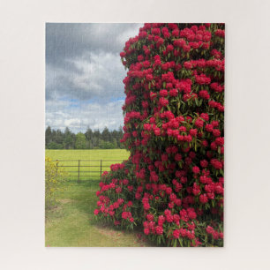 Puzzle Rhododendron et vue panoramique en Écosse