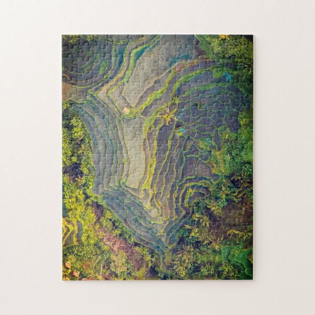 Puzzle Rice field landscape photo (Vertical)