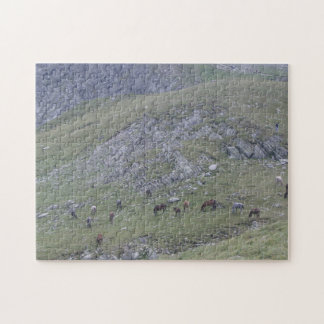 Puzzle Rila Mountain Sept Lacs Chevaux sauvages Bulgarie 