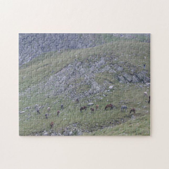Puzzle Rila Mountain Sept Lacs Chevaux sauvages Bulgarie  (Horizontal)