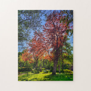 Puzzle “Rincón de luz – Einbeck en primavera”