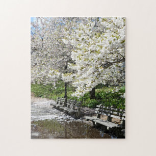 Puzzle Riverside Park Spring Cherry Blossoms New York NYC