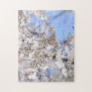 Puzzle Riverside Park Spring Cherry Blossoms New York NYC