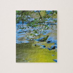 Puzzle Rivière South Fork Wilson, Oregon