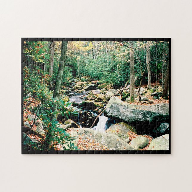 Puzzle Roaring Fork (Horizontal)