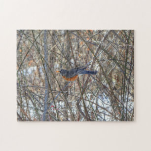 Puzzle Robin américain
