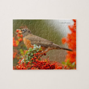 Puzzle Robin américain avec Pyracantha Pomme