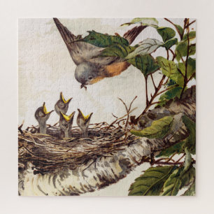 Puzzle Robin mother bird feeding hatchlings in the nid