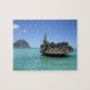 Puzzle Roche en cristal composée de corail