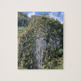 Puzzle Rock Climbing