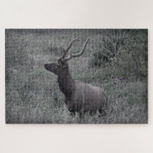 Puzzle Rocky Mountain Elk - RMNP - 20x30 - 1014 pcs