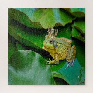 Puzzle Roi Bullfrog