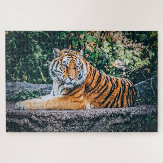 Puzzle Roi Lion de la Jungle (Horizontal)