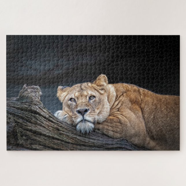 Puzzle Roi Lion de la Jungle (Horizontal)