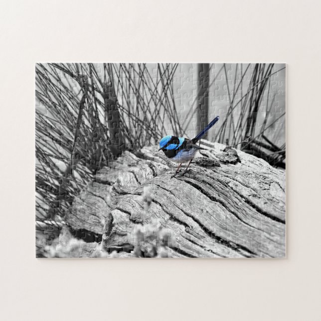 Puzzle Roitelet bleu féerique de casse-tête - 250 (Horizontal)
