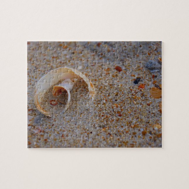 Puzzle rond de coquillage (Horizontal)