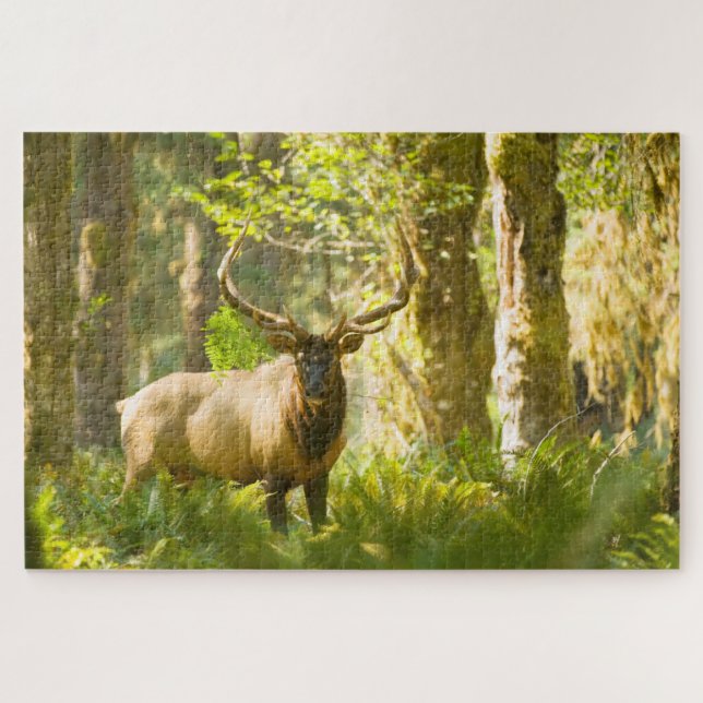 Puzzle Roosevelt Elk | Parc National Olympique, Washingto (Horizontal)