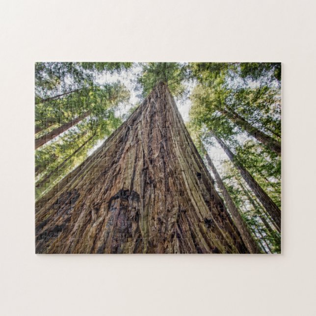 Puzzle Roosevelt Grove (Horizontal)