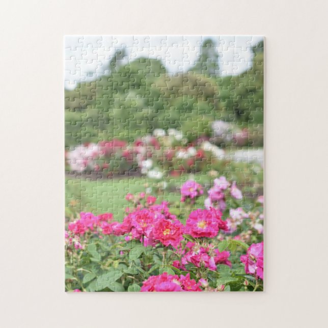 Puzzle Rose anglais Garden Kew Gardens Londres Royaume-Un (Vertical)