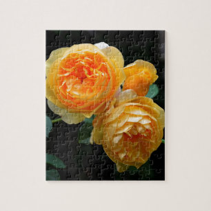 Puzzle Rose anglais jaune