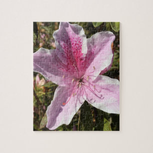 Puzzle rose azalea