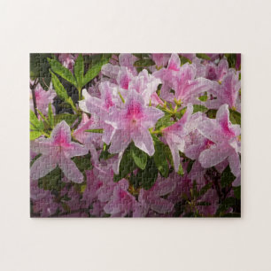 Puzzle Rose Azalea Bush printemps floral