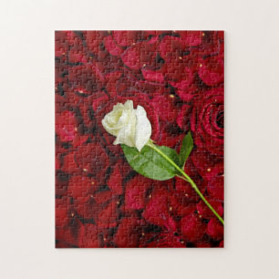 Puzzle Rose blanc sur les pétales rouges