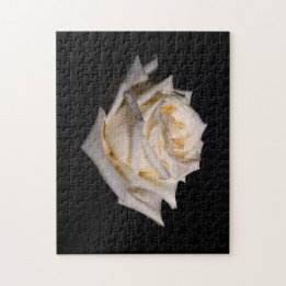 Puzzle Rose blanche simple