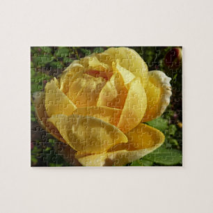 Puzzle Rose d'Angleterre