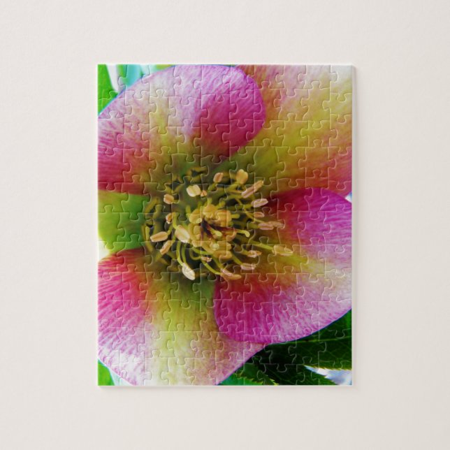 Puzzle Rose de carême rose, (Vertical)
