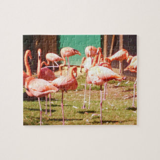 Puzzle rose de Flamant rose