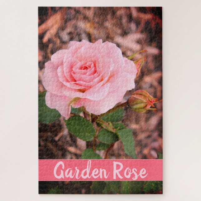 Puzzle Rose de jardin rose (Vertical)