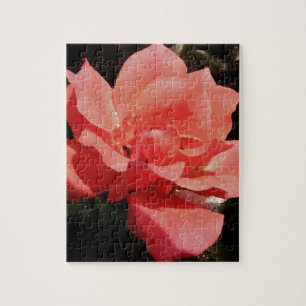 Puzzle rose de pêche et détritus