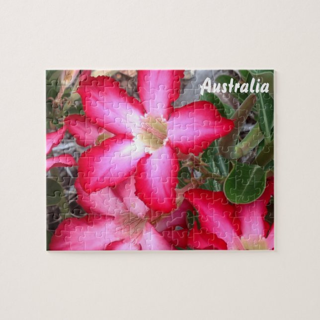 Puzzle Rose du désert (Horizontal)