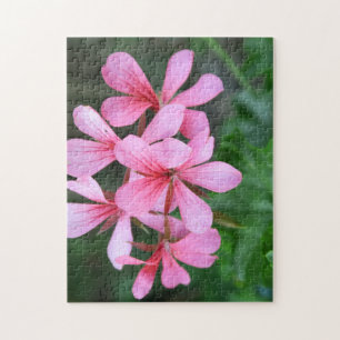 Puzzle rose, floraison, fleur, jardin, été, floral, natur