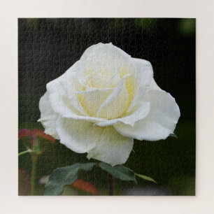 Puzzle Rose florale blanche de Noël