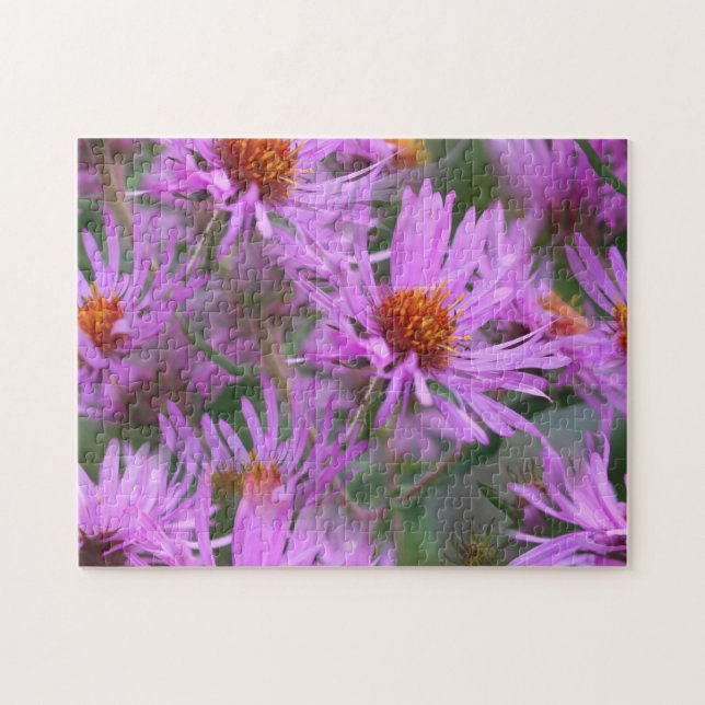 Puzzle Rose Nouvelle Angleterre Asters (Horizontal)