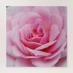 Puzzle Rose  Photographie de clôture