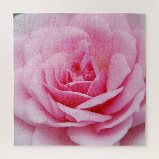 Puzzle Rose| Photographie de clôture (Vertical)